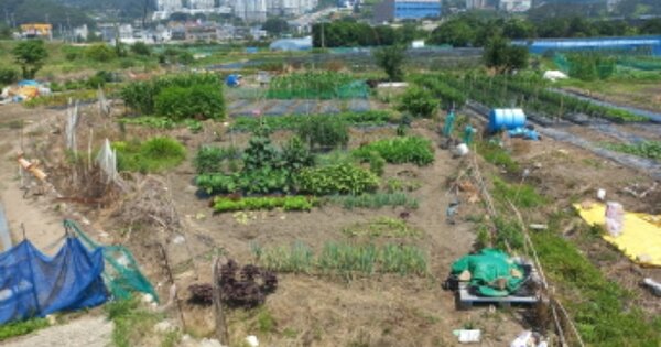 경상남도 거제시 일운면 소동리 OOOOO 답 경매 물건 이미지