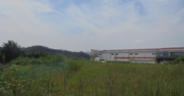 충청북도 음성군 대소면 대풍리 OOOOO O OOO 임야 경매 물건 이미지