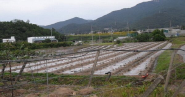 경상남도 사천시 송포동 OOO 답 경매 물건 이미지