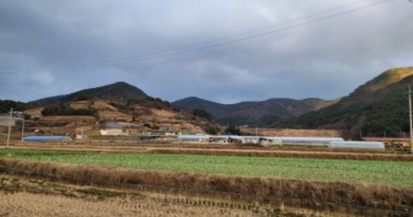 전라남도 여수시 돌산읍 신복리 OOO O OOO 답 경매 물건 이미지