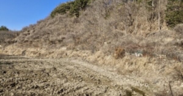 경상남도 고성군 동해면 장기리 OOO O OOO 답 경매 물건 이미지