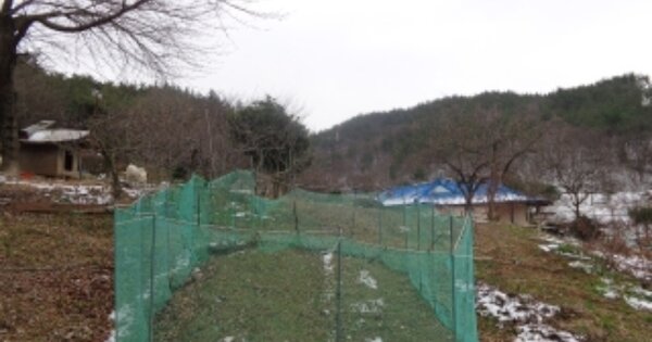 충청남도 태안군 원북면 동해리 OOOOO O OOO 전 경매 물건 이미지