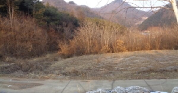 강원특별자치도 영월군 주천면 판운리 OO 전 경매 물건 이미지
