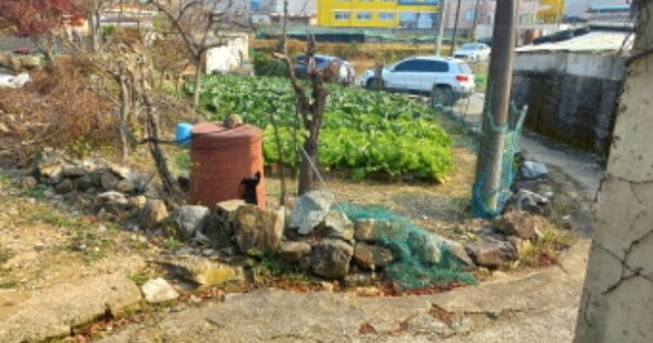 경상남도 거제시 연초면 오비리 OOO O OOO 단독주택 경매 물건 이미지