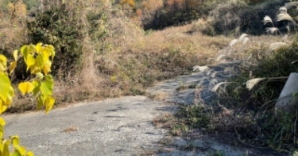 경상남도 남해군 남면 상가리 OOO O OOO 동물 및 식물 관련시설 경매 물건 이미지