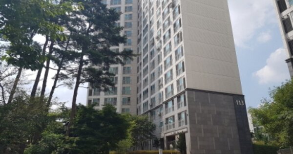 경기 안성시 공도읍 만정리 880, 113동 OOOOOO OOOOOOOOOO 아파트 경매 물건 이미지