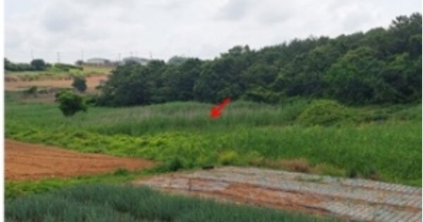 전라남도 무안군 해제면 산길리 OOO 답 경매 물건 이미지