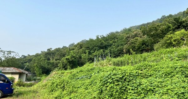 경기도 안산시 상록구 월피동 OOO 임야 경매 물건 이미지