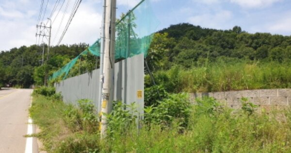 경기도 안산시 단원구 대부동동 OOOOOOO O OOO 임야 경매 물건 이미지