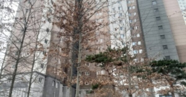 충남 당진시 송악읍 기지시리 504, 108동 OOOOOOOO OOOOOOOOOOO 아파트 경매 물건 이미지