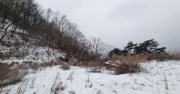 경기도 가평군 설악면 회곡리 OOOOO 임야 경매 물건 이미지