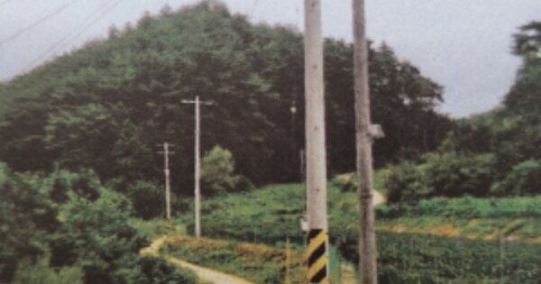 경상북도 봉화군 법전면 소천리 OOOOO O OOO 답 경매 물건 이미지