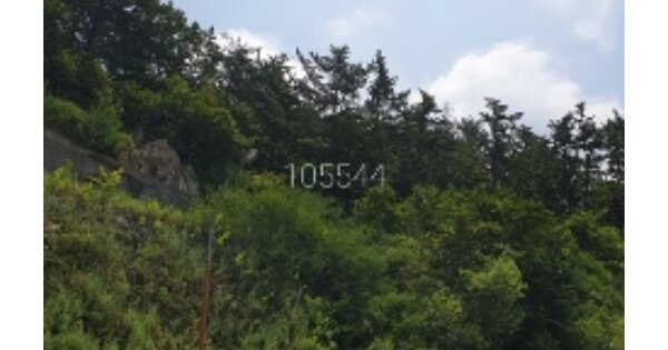 부산광역시 기장군 철마면 장전리 OOOOOOO 임야 경매 물건 이미지