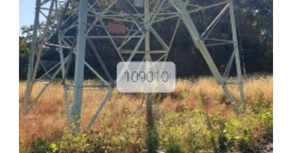 부산광역시 기장군 장안읍 오리 OOOO O OOO 답 경매 물건 이미지