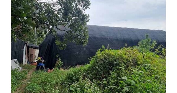 서울특별시 서초구 내곡동 OOOOO 답 경매 물건 이미지