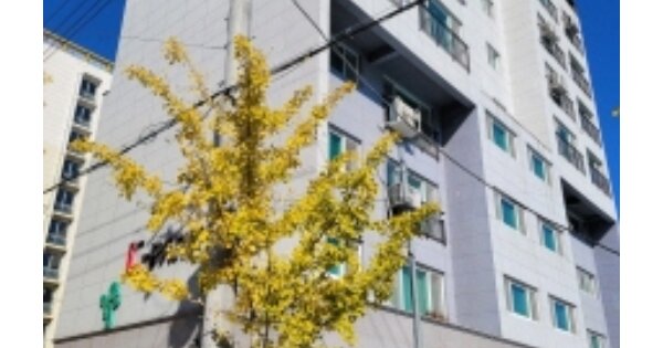 울산 남구 달동 OOOOOO OOOOOO OOOOOOOO 다세대주택 경매 물건 이미지