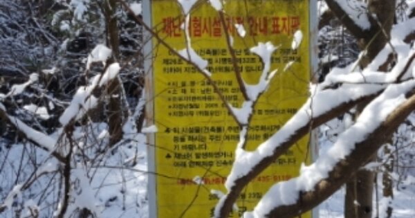 강원특별자치도 홍천군 남면 화전리 OOO O OOO 전 경매 물건 이미지