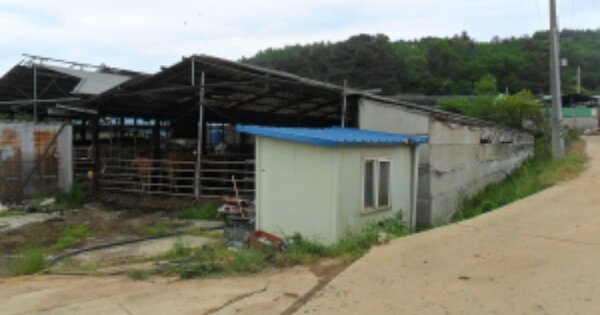 전북특별자치도 고창군 해리면 안산리 OOOOO 동물 및 식물 관련시설 경매 물건 이미지