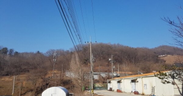 세종특별자치시 금남면 대박리 OOOOOO 임야 경매 물건 이미지