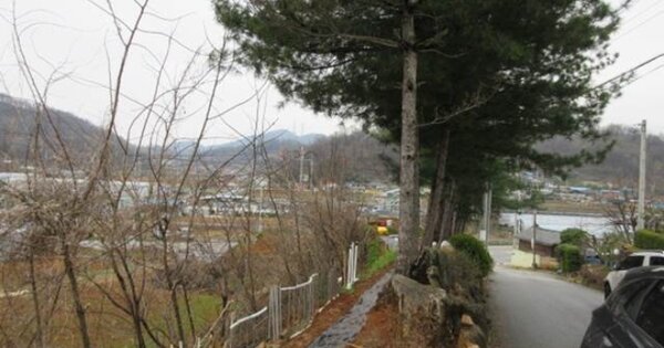경상북도 문경시 공평동 OOOOOO 전 경매 물건 이미지