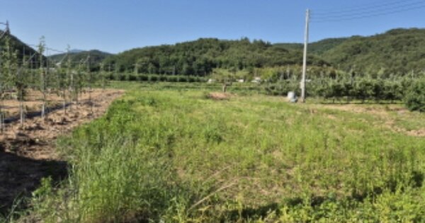 경상북도 영덕군 창수면 가산리 OOOOOO 전 경매 물건 이미지