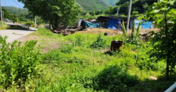 충청북도 제천시 금성면 포전리 OOO 대지 경매 물건 이미지