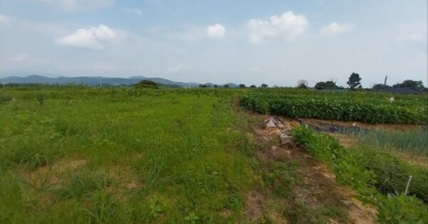 충청남도 공주시 탄천면 덕지리 OOOOO 임야 경매 물건 이미지