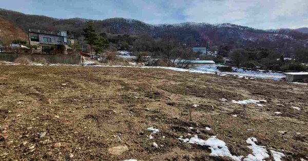 경기도 양평군 강하면 항금리 OOO 답 경매 물건 이미지