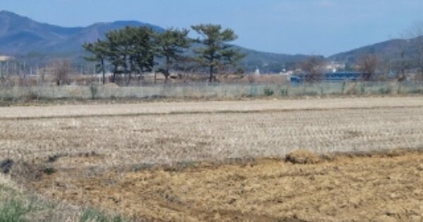 경상북도 포항시 북구 신광면 사정리 OOOOO 답 경매 물건 이미지
