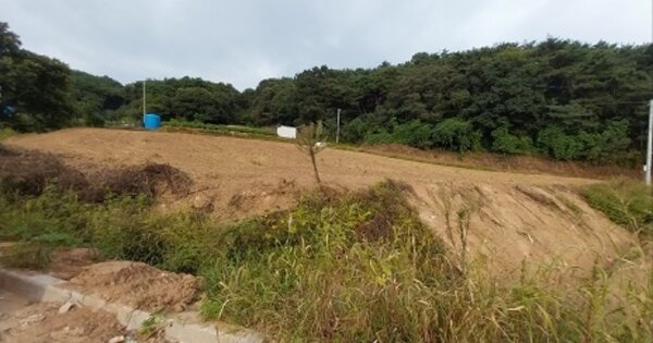 충청남도 청양군 청양읍 장승리 OOOOO 전 경매 물건 이미지