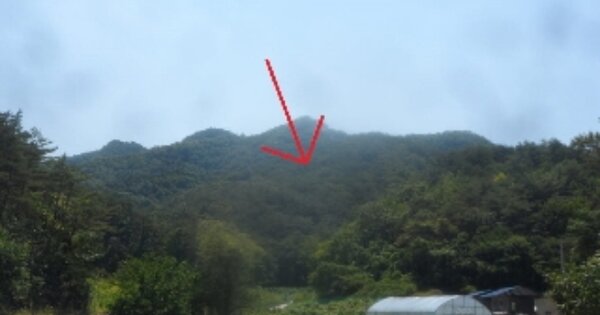강원특별자치도 영월군 영월읍 흥월리 OOOO 임야 경매 물건 이미지