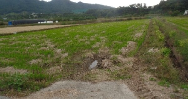 충청남도 논산시 양촌면 반곡리 OOOOO 답 경매 물건 이미지