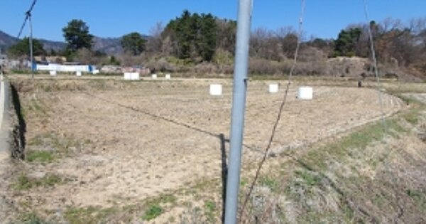 경상남도 김해시 진례면 시례리 OOOOO 답 경매 물건 이미지