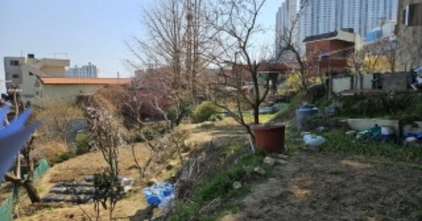 부산광역시 부산진구 당감동 OOOOO 답 경매 물건 이미지
