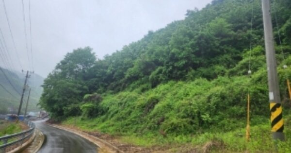 충청북도 괴산군 사리면 이곡리 OOO O OOO 임야 경매 물건 이미지