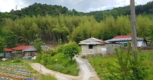 충청남도 서천군 판교면 마대리 OOOOO 임야 경매 물건 이미지