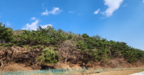 울산광역시 남구 옥동 OOOOO 임야 경매 물건 이미지
