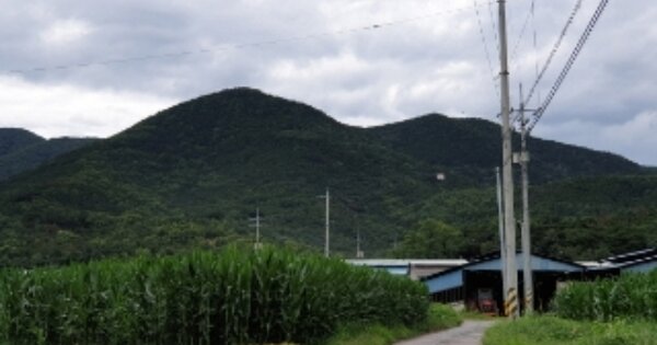 경상북도 경주시 안강읍 육통리 OOOOOO 임야 경매 물건 이미지