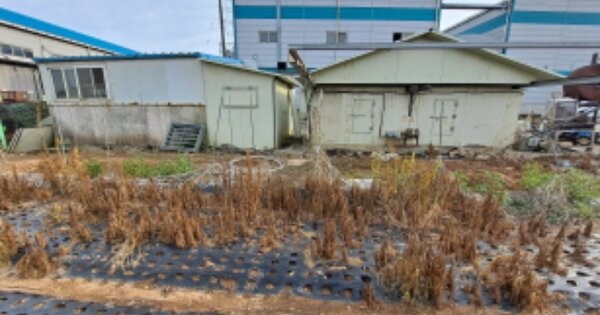 충청남도 서산시 음암면 신장리 OOOOOO 전 경매 물건 이미지