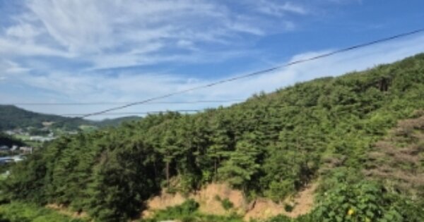 경상북도 경주시 양남면 서동리 OO O OOO 답 경매 물건 이미지