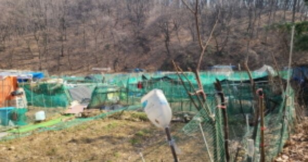 경기도 용인시 기흥구 상하동 OOO O OOO 답 경매 물건 이미지