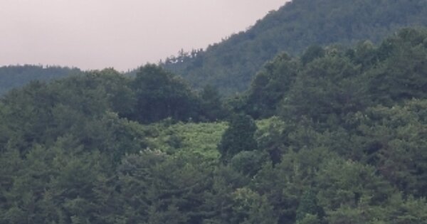 경상남도 통영시 용남면 장문리 OOOOOO 전 경매 물건 이미지