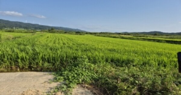 경상북도 포항시 북구 신광면 죽성리 OOO 답 경매 물건 이미지