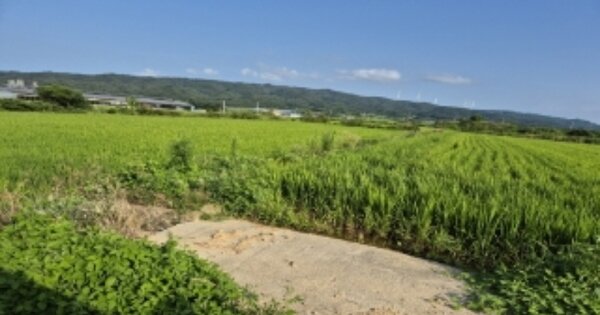 경상북도 포항시 북구 신광면 죽성리 OOOOO 답 경매 물건 이미지