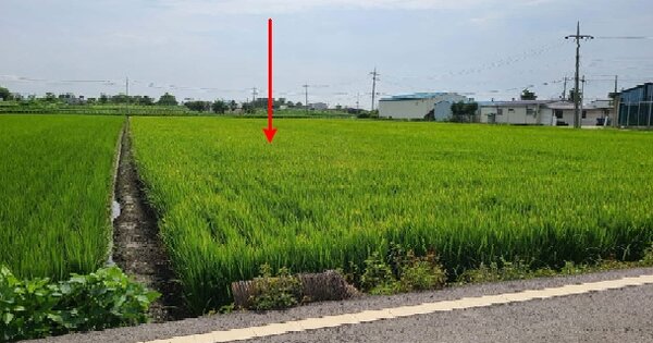 경기도 평택시 오성면 신리 OOOOO 답 경매 물건 이미지