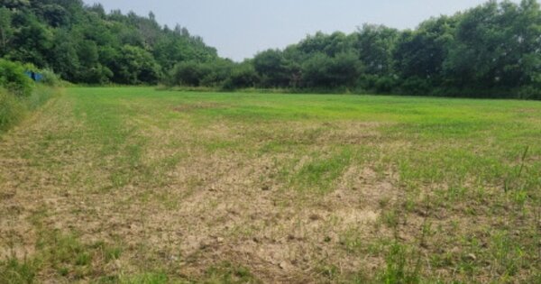 충청남도 천안시 동남구 성남면 용원리 OOOOO 답 경매 물건 이미지