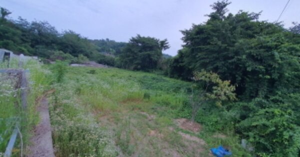 경기도 김포시 감정동 OOOOOO 전 경매 물건 이미지