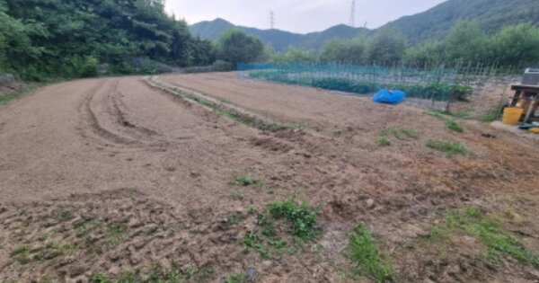 경기 가평군 설악면 가일리 OOOOO 체육용지 경매 물건 이미지