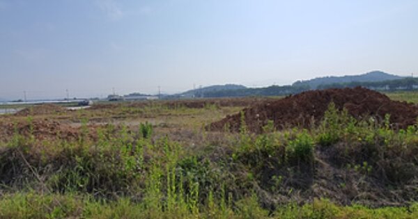 경상남도 김해시 진영읍 본산리 OOOO 답 경매 물건 이미지