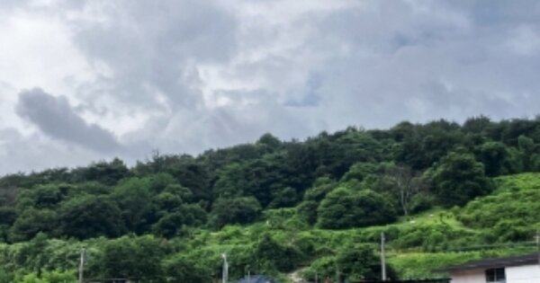 경상남도 진주시 지수면 금곡리 OOO 전 경매 물건 이미지